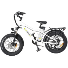 High Quality Fat Tire Electric Bicycle Mountain E Bike